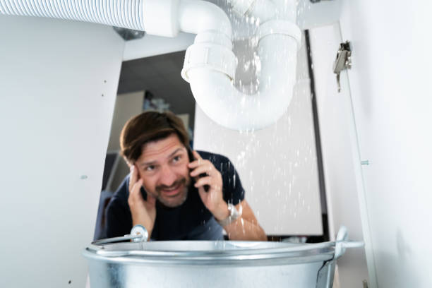 Best Sewer Line Repair  in Royalton, IL