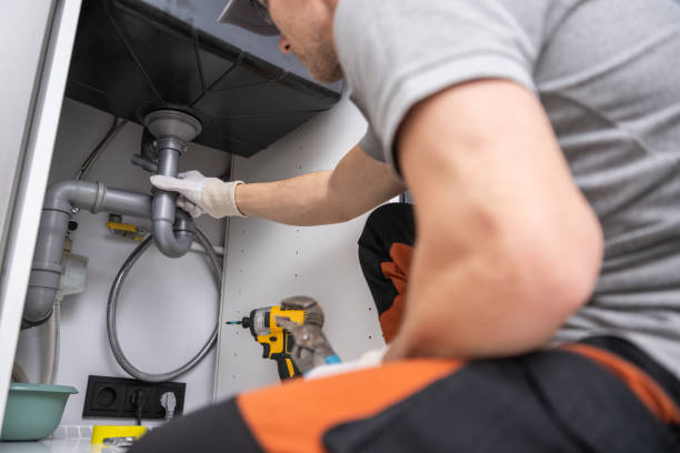 Best Plumbing Services Near Me  in Royalton, IL