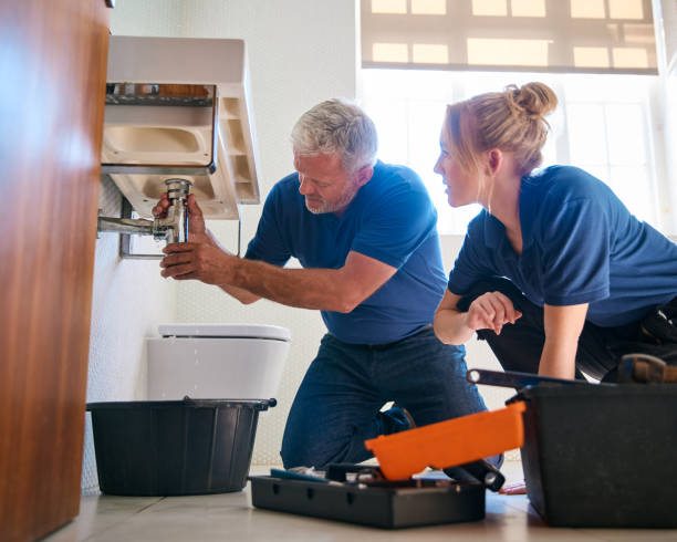 Best Emergency Plumbing Repair  in Royalton, IL